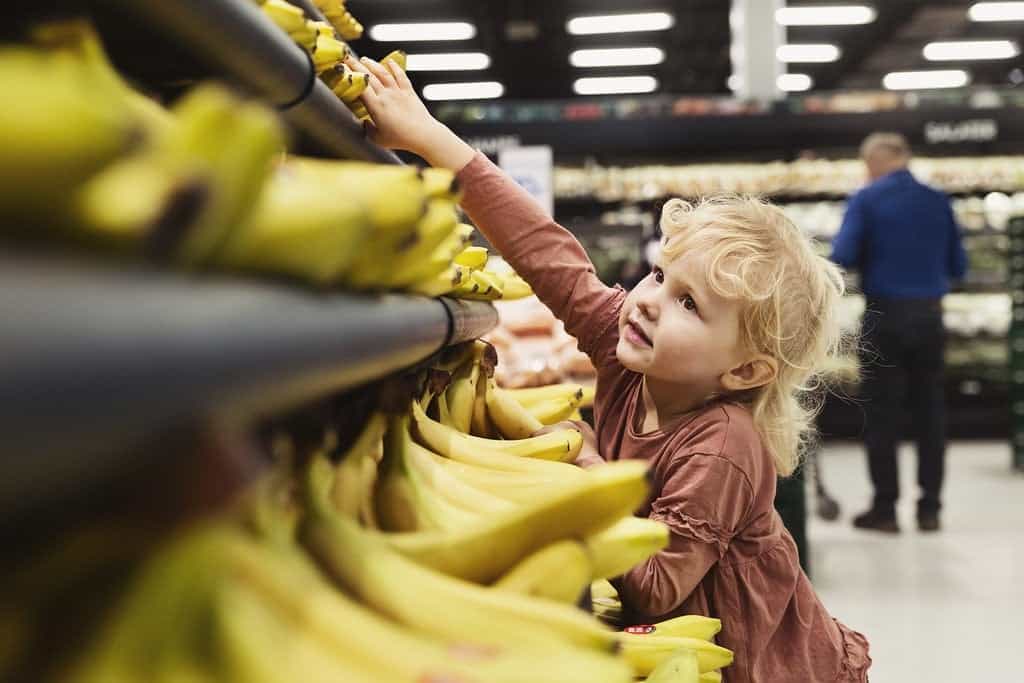 PRESSEMEDDELELSE: Nu bliver alle bananer i føtex, Netto og Bilka økologiske PRESSEMEDDELELSE: Nu bliver alle bananer i føtex, Netto og Bilka økologiske