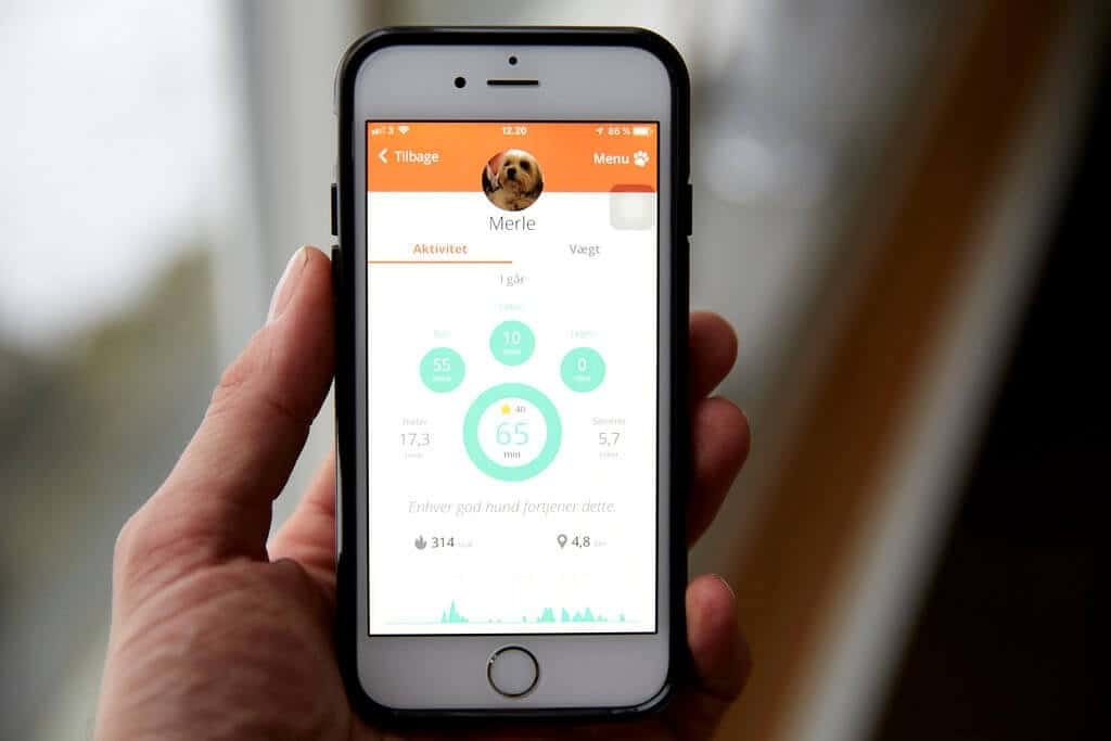 PRESSEMEDDELELSE: Nyt smartwatch til hunde øger livskvaliteten for både kæledyr og ejer