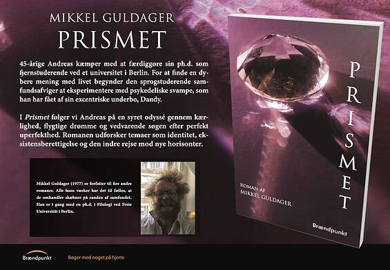 PRESSEMEDDELELSE - Mikkel Guldager udgiver sin femte roman